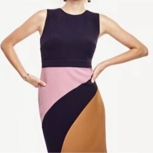 Ann Taylor Black, Pink, and Brown Colorblock Dress